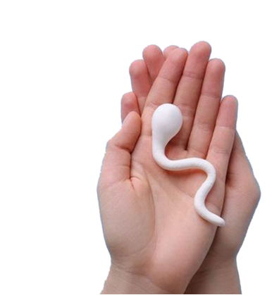 Male Infertility